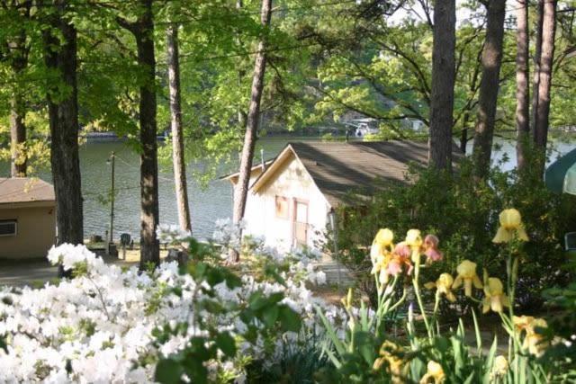 Edgewater Resort Cottage #1 Hot Springs Exterior photo
